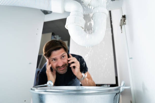Best Clogged Drain Plumber  in Bonifay, FL